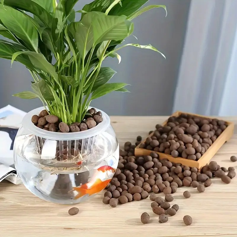 수족관 장식, 수생 식물 재배, 다육 식물 및 분재용  - Aquarium Plants 리뷰 및 가격