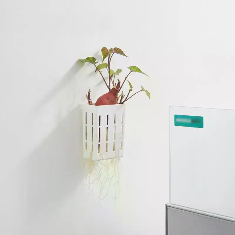 1개 수경재배 지지 바구니 어항 식물 재배 컵 수초 수 - Aquarium Plants 리뷰 및 가격