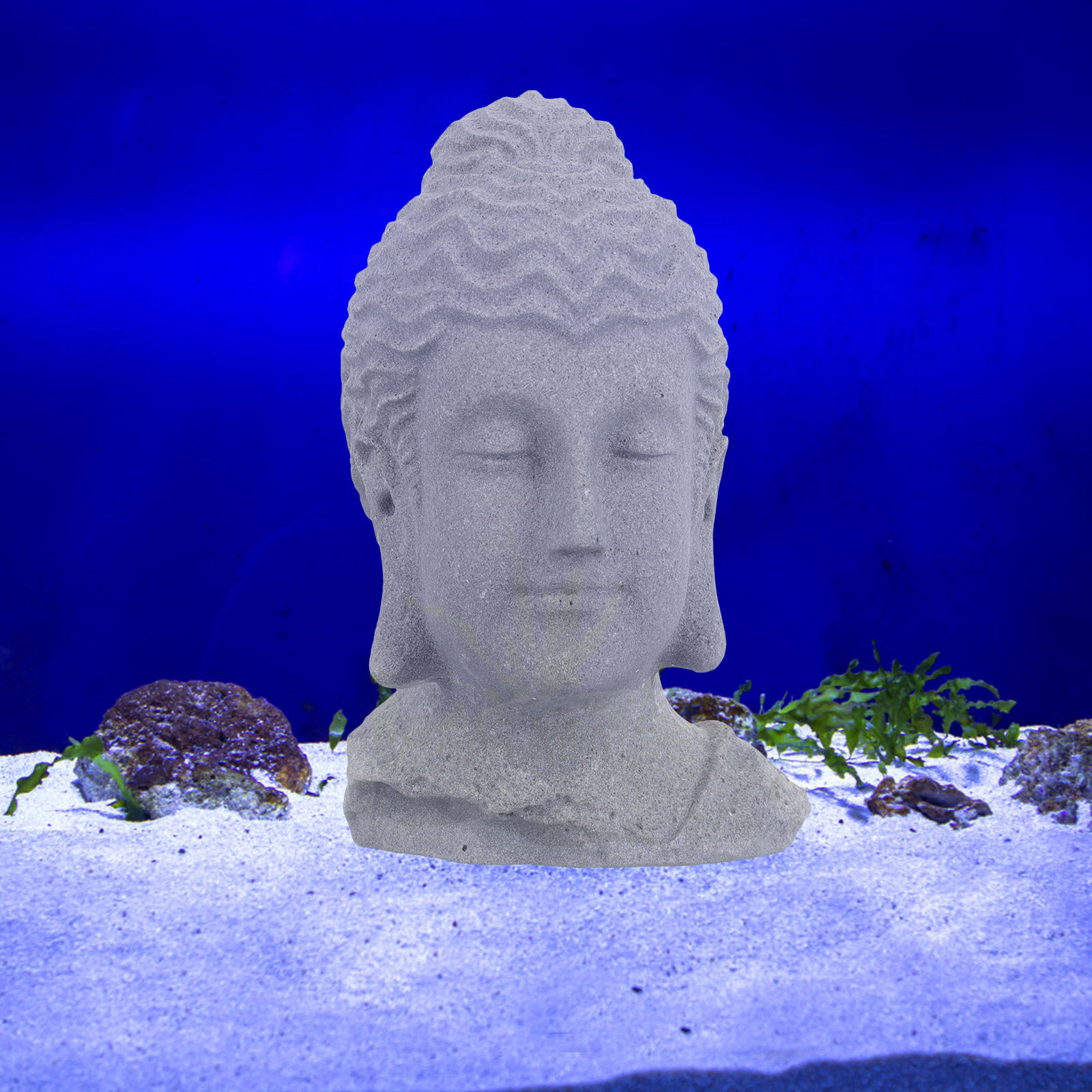 수족관, 어항, 분재 정원 및 실내 장식용 명상하는 부 - Aquarium Decor 리뷰 및 가격
