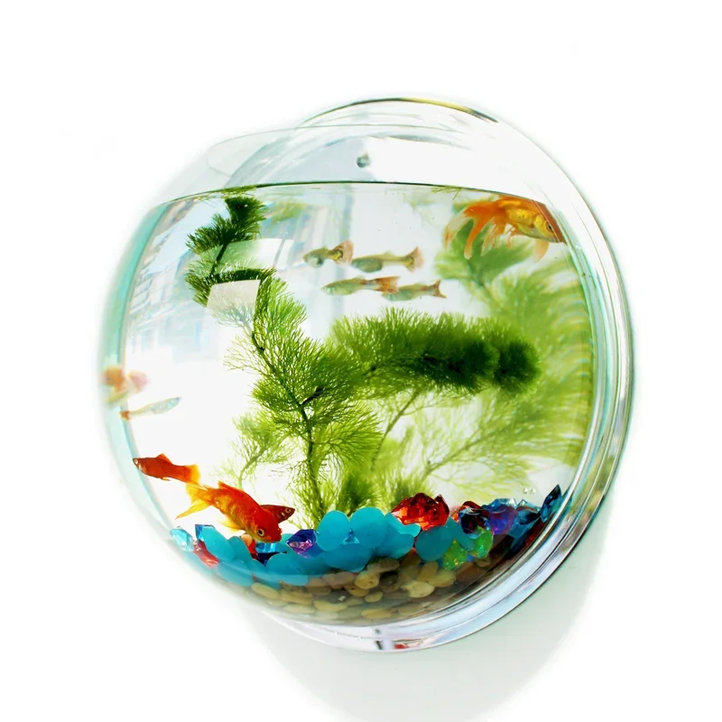 핀스자 아크릴 어항, 벽걸이형 수족관, 수생 애완동물  - Betta Fish Tank 리뷰 및 가격