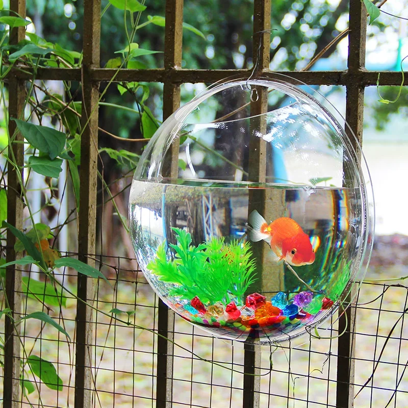 핀스자 아크릴 어항, 벽걸이형 수족관, 수생 애완동물  - Betta Fish Tank 리뷰 및 가격