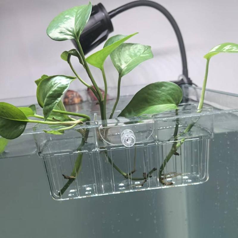 수경재배 식물 바구니 식품 등급 수생 식물 홀더 1개입 - Aquarium Plants 리뷰 및 가격